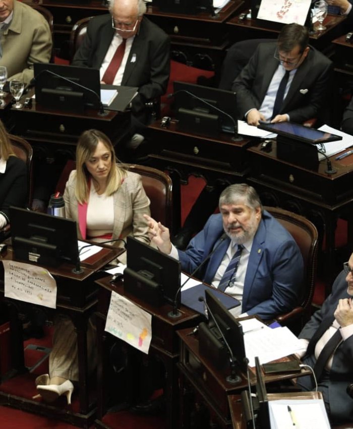 Dura derrota para Milei: por amplía mayoría el Senado rechazó el veto y reactivó la Ley de Emergencia en Discapacidad