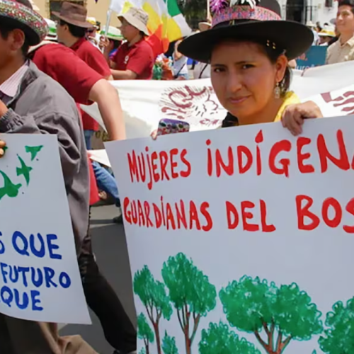 Argentina | Comunidades indígenas denuncian la crisis humanitaria que atraviesan por las políticas de despojo territorial del Gobierno de Milei