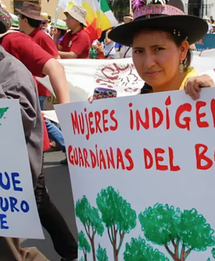 Argentina | Comunidades indígenas denuncian la crisis humanitaria que atraviesan por las políticas de despojo territorial del Gobierno de Milei