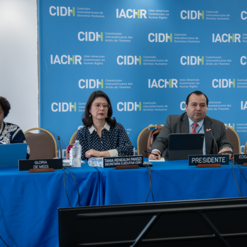 ECUADOR: Organizaciones de Derechos Humanos denuncian ante la CIDH que las políticas de seguridad del Gobierno propician el racismo