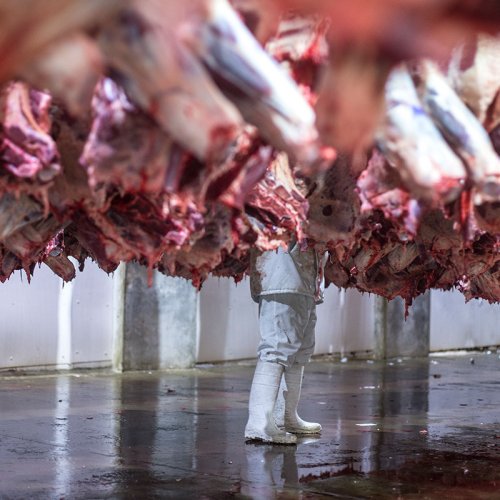 Foto: Diego Martinez@@ildieco_diegomartinezph