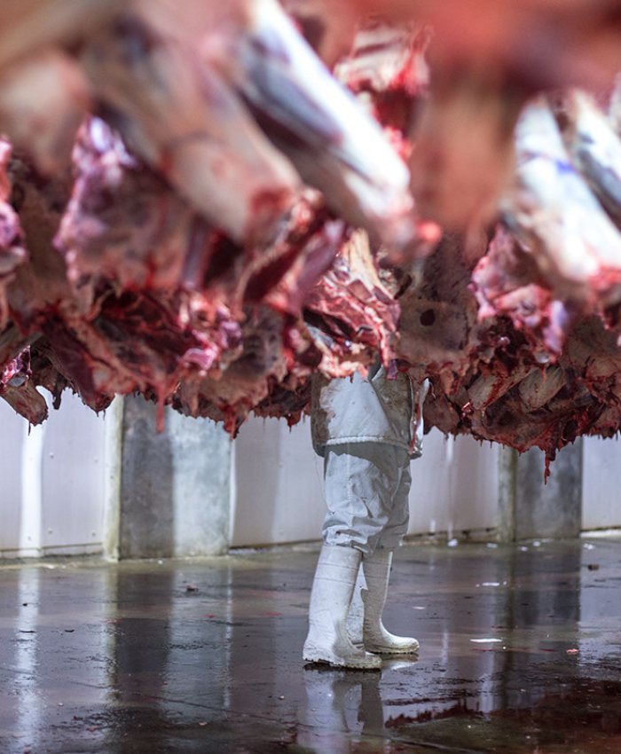 Foto: Diego Martinez@@ildieco_diegomartinezph