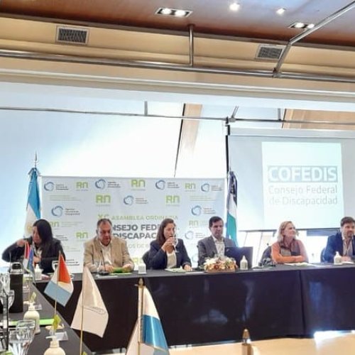 San Juan, elegida como representante del Comité Ejecutivo Cuyo de Discapacidad