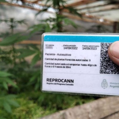 REPROCANN: habilitó las aprobaciones automáticas para solicitudes nuevas de autocultivadores consideradas de «bajo riesgo».