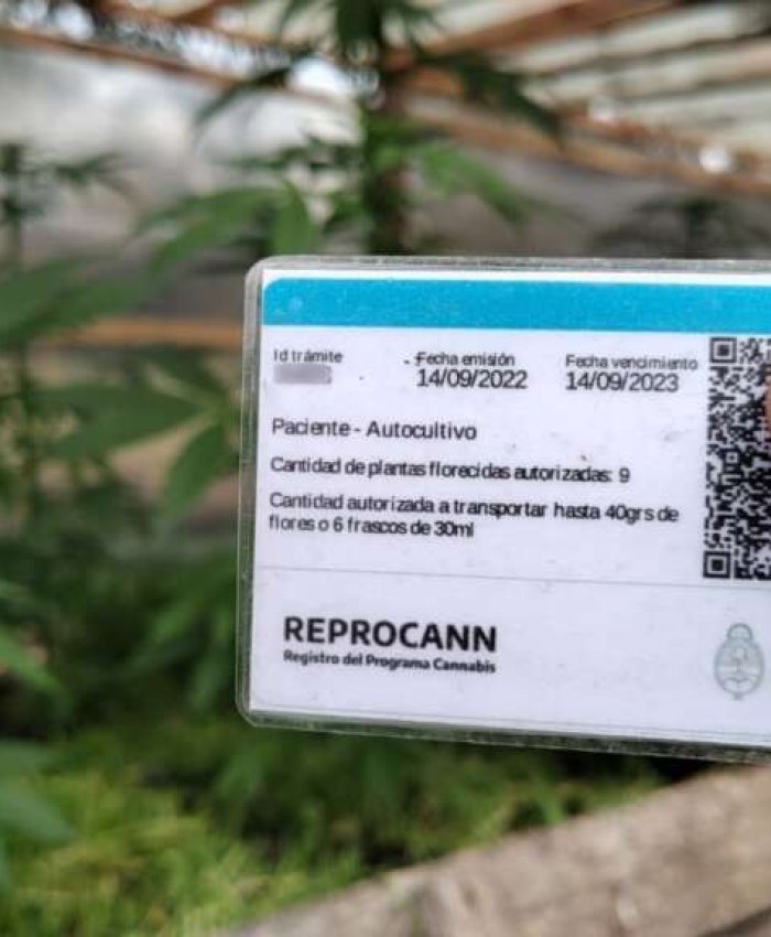 REPROCANN: habilitó las aprobaciones automáticas para solicitudes nuevas de autocultivadores consideradas de «bajo riesgo».