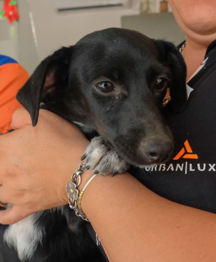 Punto Verde y cuidado de mascotas en dos importantes Parques de Chimbas