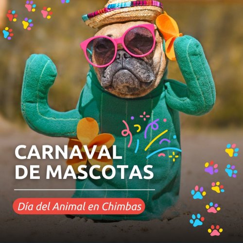 FESTEJO DEL DÍA DEL ANIMAL EN CHIMBAS