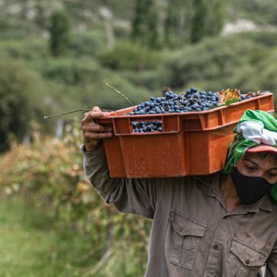 El Gobierno de San Juan refuerza los créditos para el sector agrícola en Punto Pyme