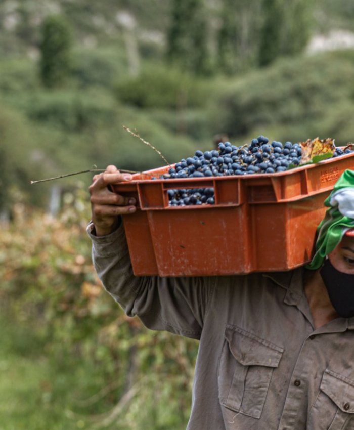 El Gobierno de San Juan refuerza los créditos para el sector agrícola en Punto Pyme