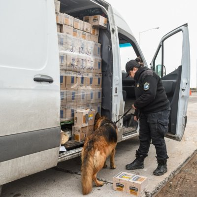 San Juan y Mendoza reforzaron los controles en el límite interprovincial con un operativo conjunto