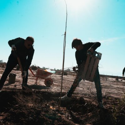 El Mogote será sede de una jornada de voluntariado verde por el Día de la Primavera
