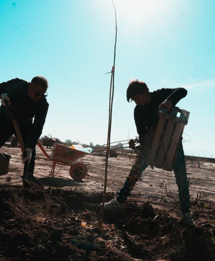 El Mogote será sede de una jornada de voluntariado verde por el Día de la Primavera