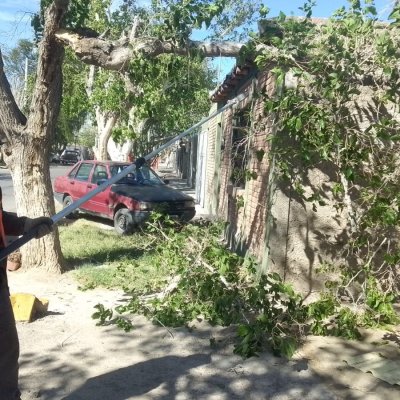 Chimbas desplegó personal de Servicios ante las consecuencias del viento Zonda