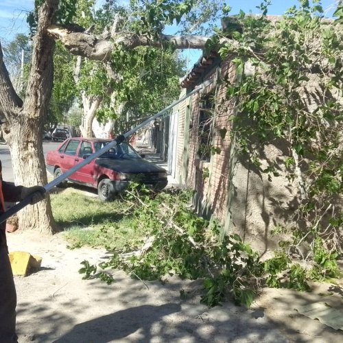Chimbas desplegó personal de Servicios ante las consecuencias del viento Zonda