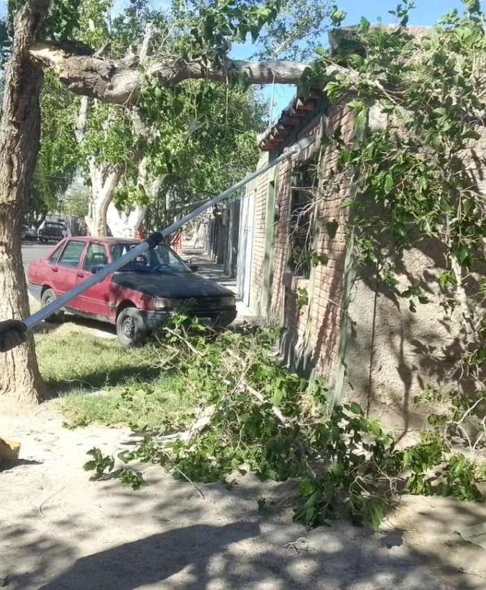 Chimbas desplegó personal de Servicios ante las consecuencias del viento Zonda