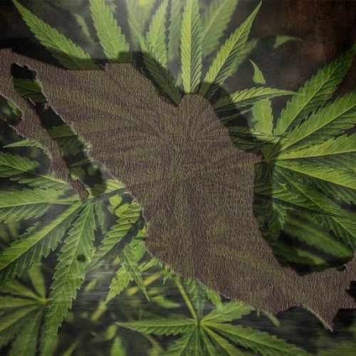 México se suma a la legalización de la Marihuana para uso medicinal y lúdico.