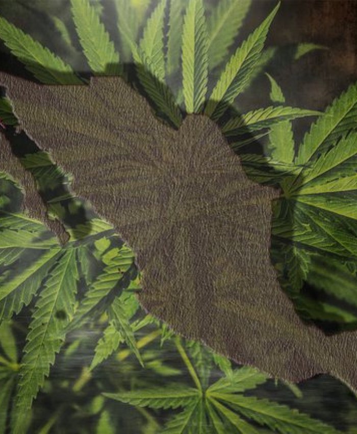 México se suma a la legalización de la Marihuana para uso medicinal y lúdico.