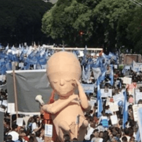 Nación no habilitará un 0800 pro vida
