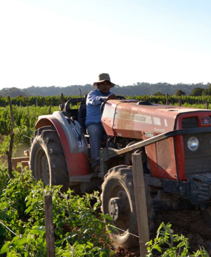 INDEC dió a conocer el informe trimestral de la industria agrícola