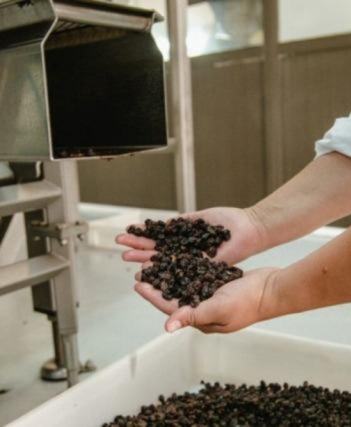 Las exportaciones sanjuaninas de pasas crecieron un 50% en dólares