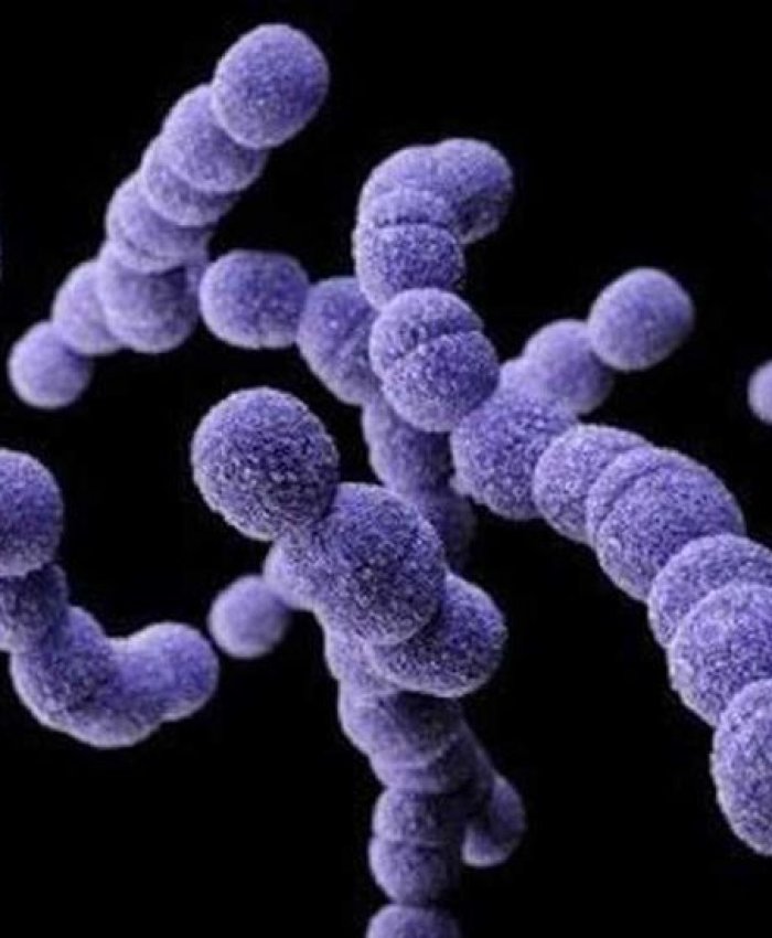 Otro nene murió por la bacteria streptoccocus pyogenes: es la séptima víctima del país.