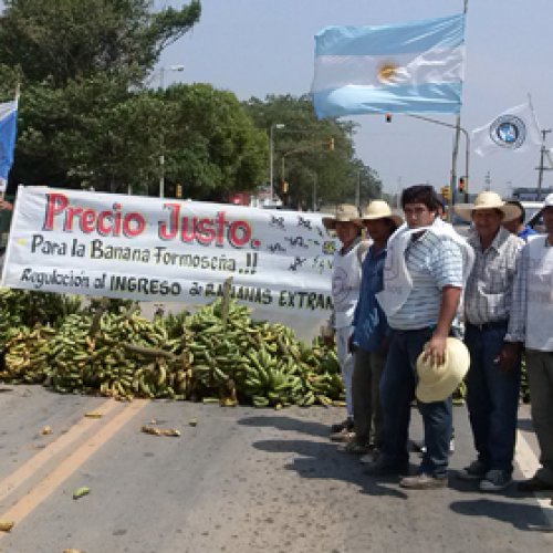 «Bananazo»: productores regalarán 30 mil kilos en Plaza de Mayo
