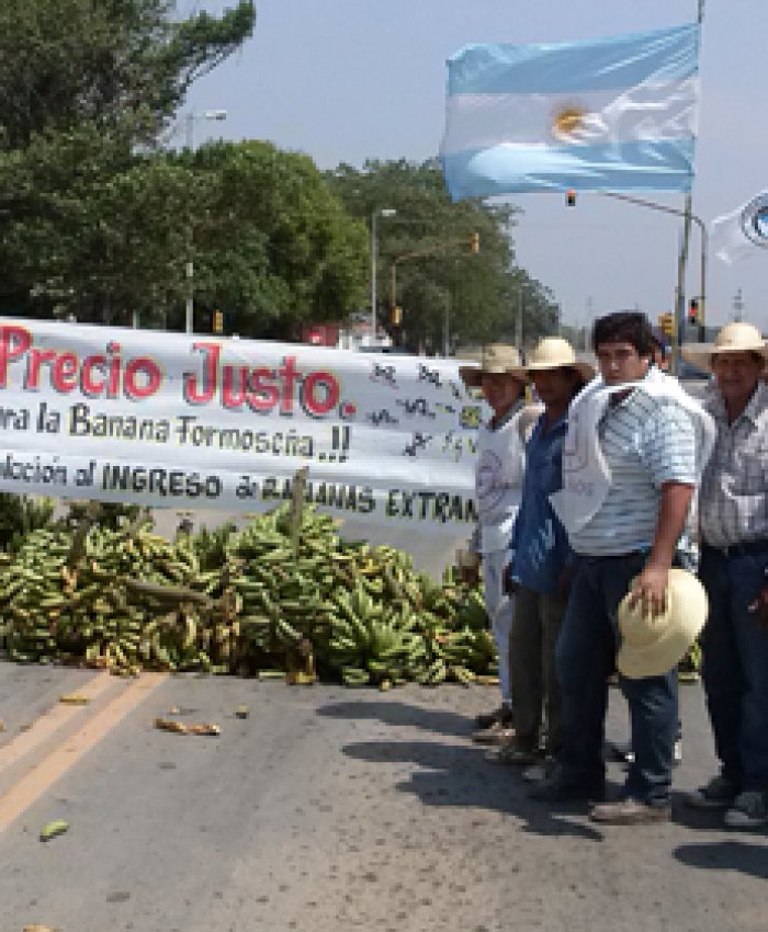 «Bananazo»: productores regalarán 30 mil kilos en Plaza de Mayo