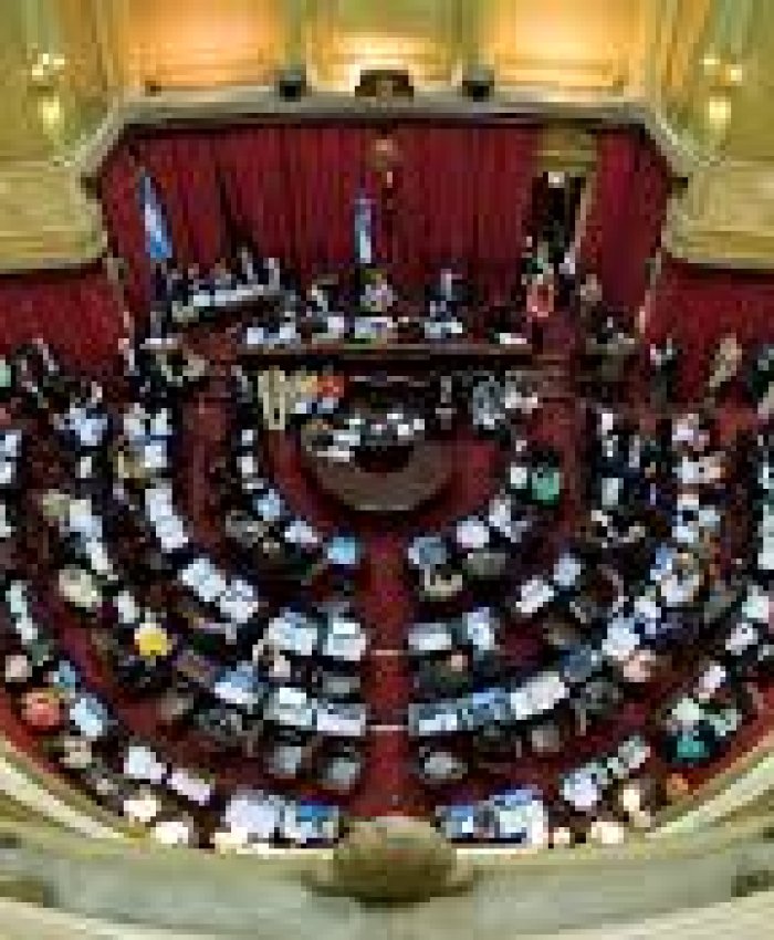 En desmedro de todos: el Senado podría aprobar hoy el Presupuesto 2019