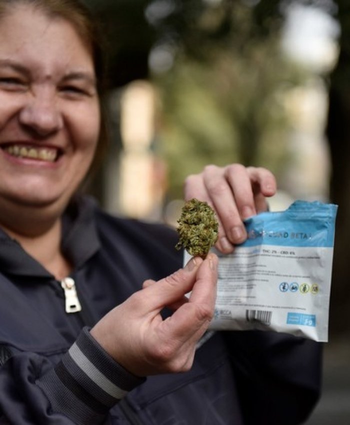 Uruguay: el Gobierno provocó pérdidas al narcotráfico por u$s 22 millones con la implementación de la ley de regulación del Cannabis