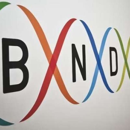 La Justicia le ordenó al Gobierno de Milei garantizar el funcionamiento del Banco Nacional de Datos Genéticos