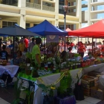 Se realiza otra edición de la Feria Agroproductiva con productos frescos y sabor local