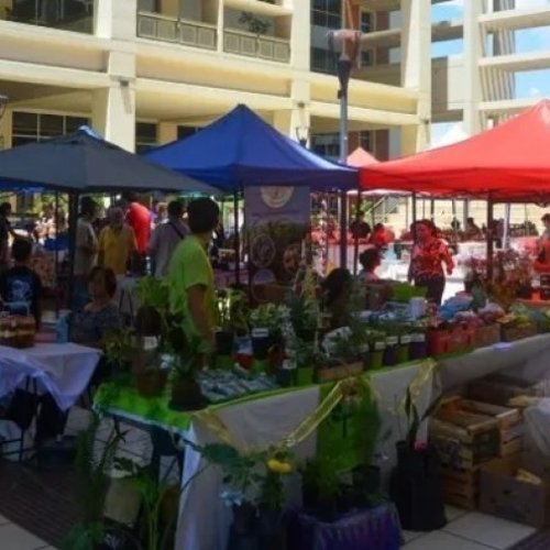 Se realiza otra edición de la Feria Agroproductiva con productos frescos y sabor local