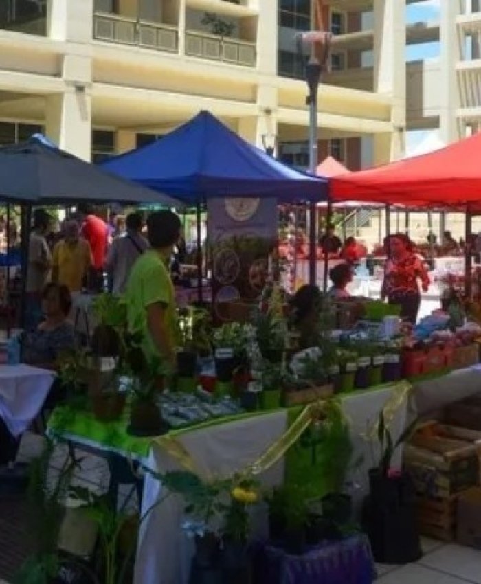 Se realiza otra edición de la Feria Agroproductiva con productos frescos y sabor local