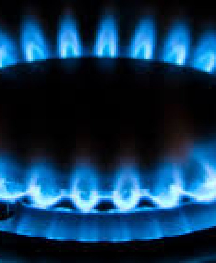 Las compañías distribuidoras de gas pidieron una suba del 200%