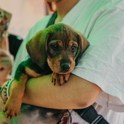 Los quirófanos móviles acercan atención gratuita a barrios de Chimbas y Rawson