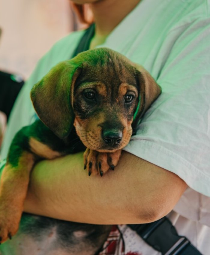Los quirófanos móviles acercan atención gratuita a barrios de Chimbas y Rawson