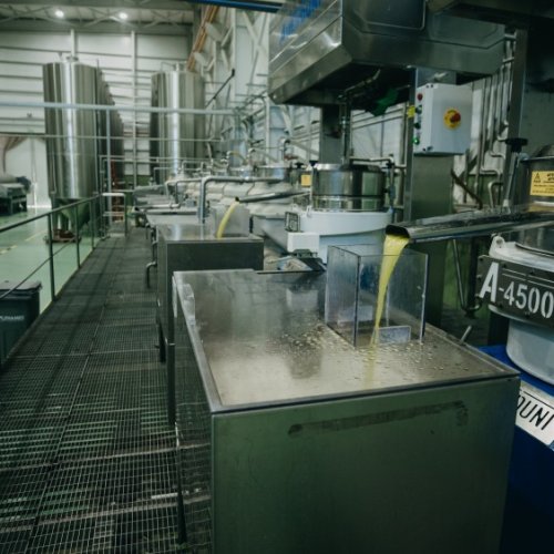 San Juan lidera la producción de aceite de oliva en Argentina