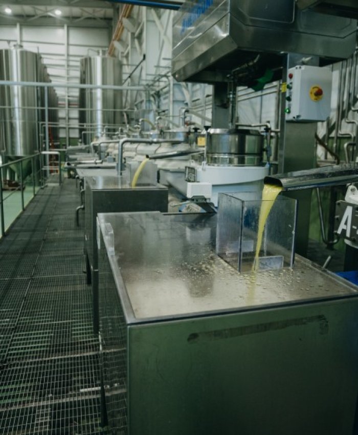 San Juan lidera la producción de aceite de oliva en Argentina