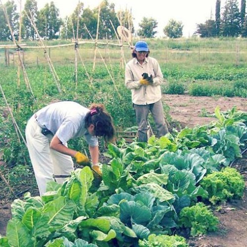 El Gobierno recorta la ayuda a productores agropecuarios