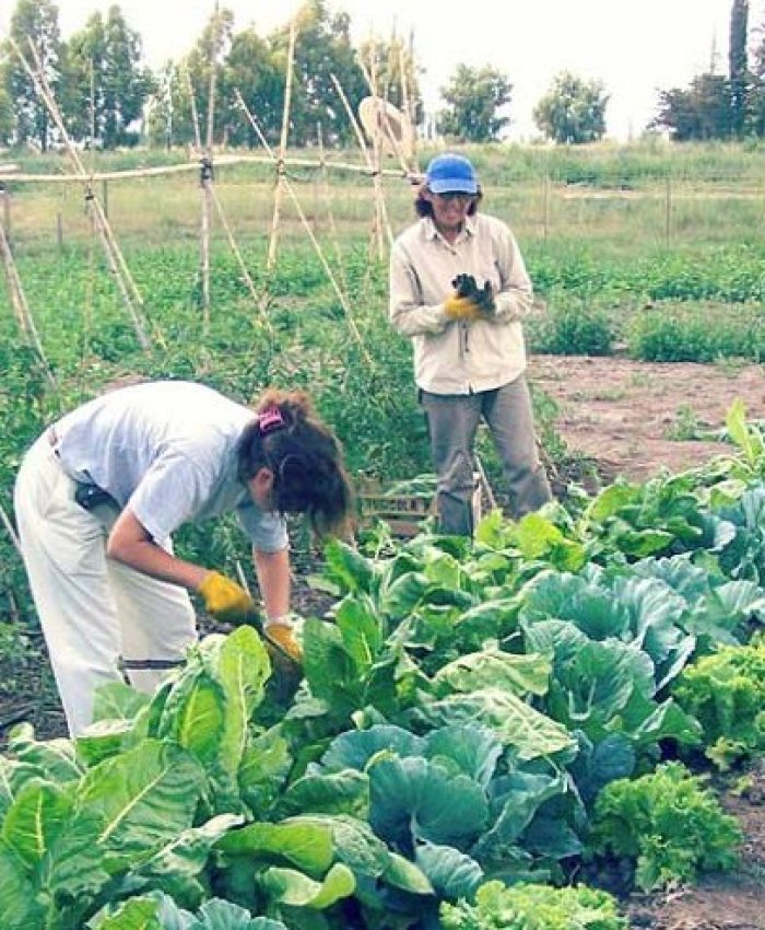 El Gobierno recorta la ayuda a productores agropecuarios