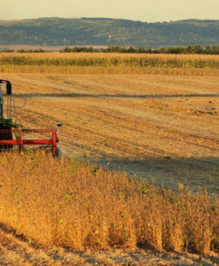 El campo muy descontento con el Gobierno
