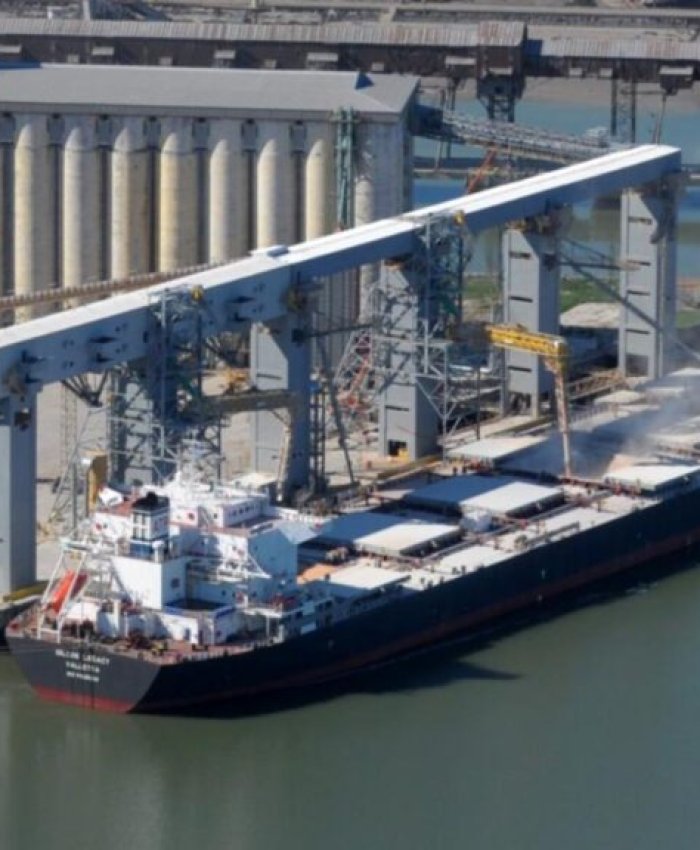 El Gobierno cerró la exportación de harinas y aceites de soja «hasta nuevo aviso»