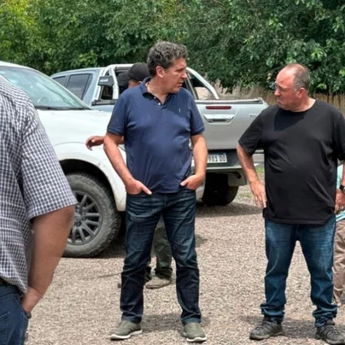 El Gobierno de San Juan relevó daños por granizo en zonas productivas