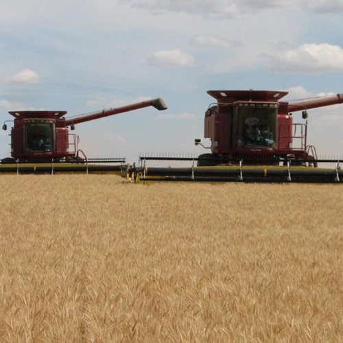 España y Francia le propusieron a la UE comprarle cereales a la Argentina