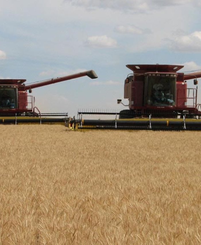 España y Francia le propusieron a la UE comprarle cereales a la Argentina