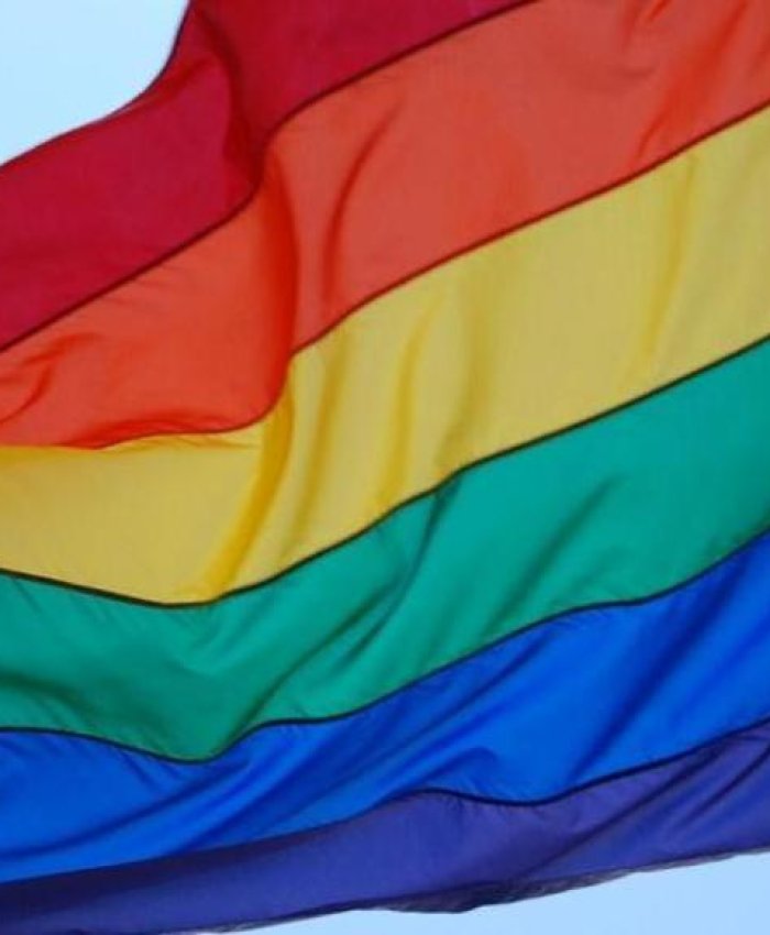 Suiza castigará con cárcel los actos homofóbicos y transfóbicos