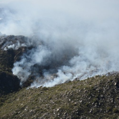 Valle Fértil: se trabaja para controlar los incendios en Las Tumanas