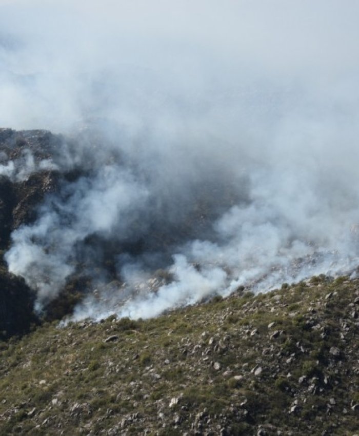 Valle Fértil: se trabaja para controlar los incendios en Las Tumanas