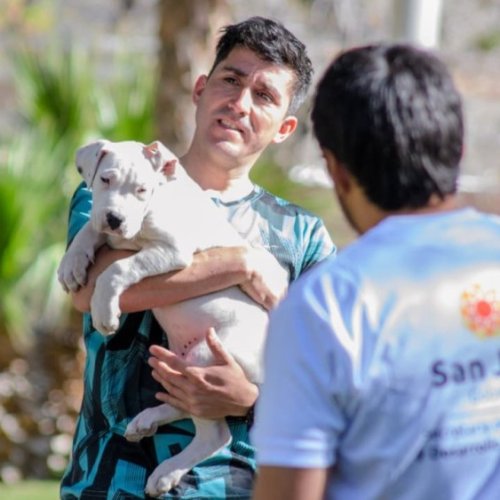 El quirófano móvil sigue recorriendo San Juan con esterilización gratuita