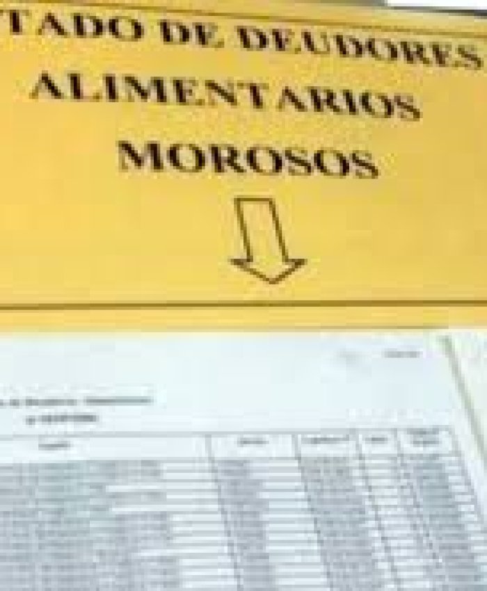 Padres morosos de cuota alimentaria no podrían renovar carnet de conducir ni pasaporte
